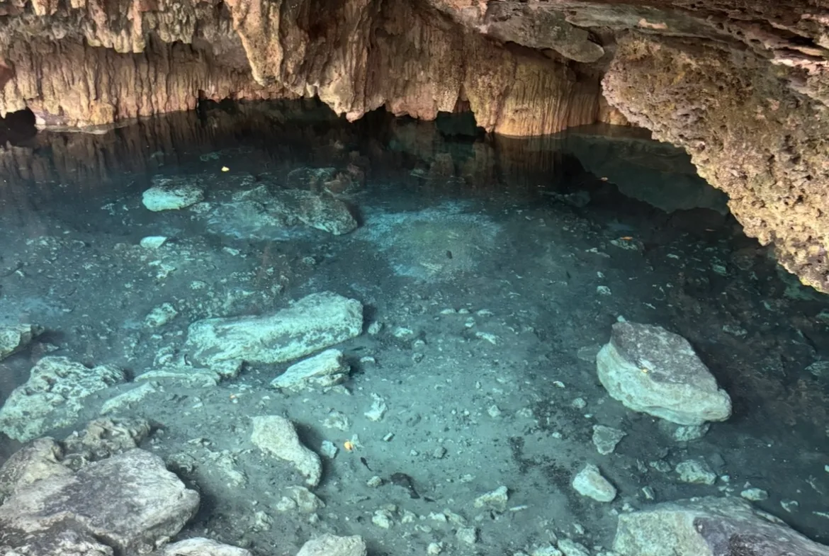 Cenote dentro del desarrollo – lote en SelvaReal, Playa del Carmen