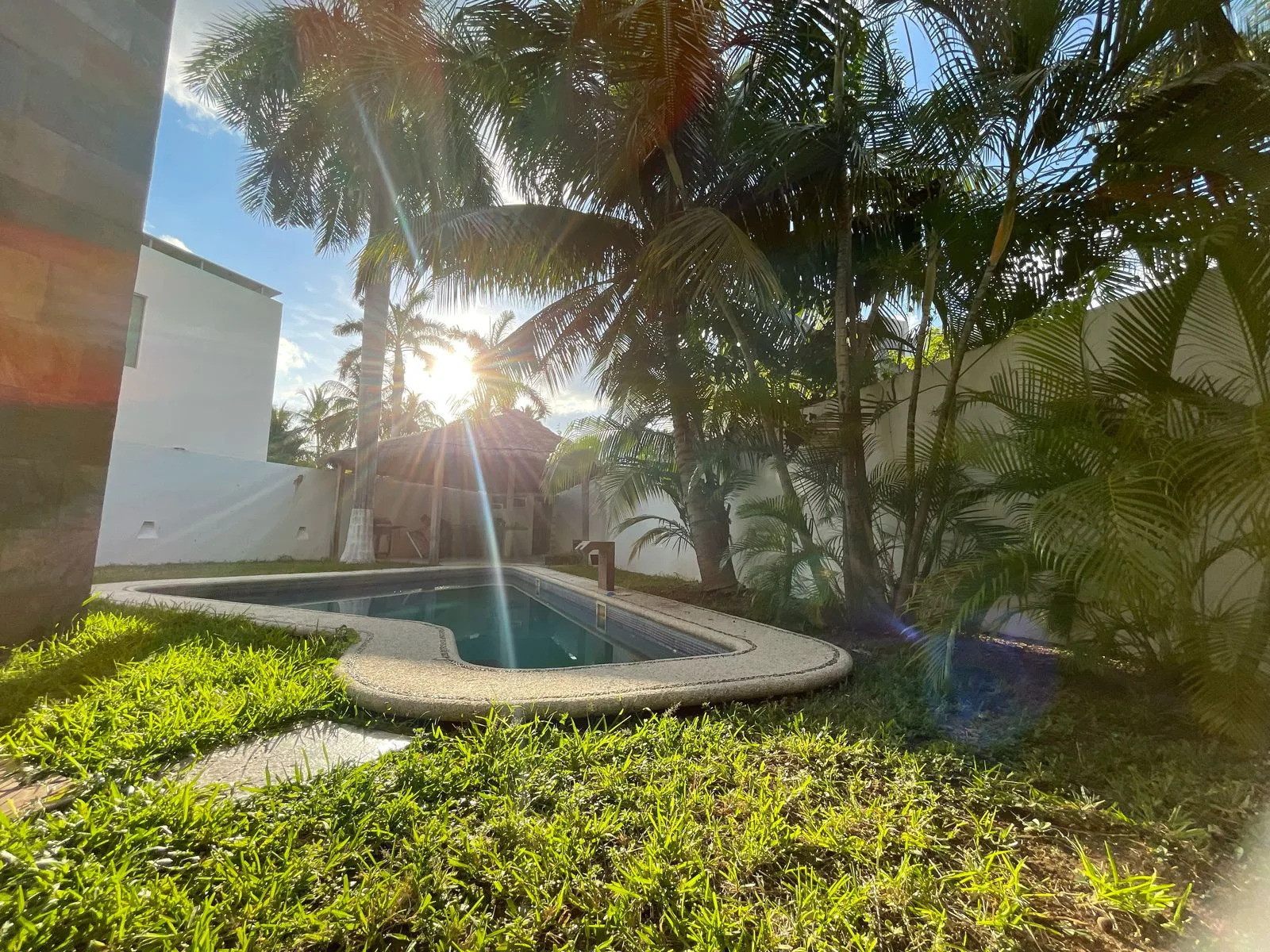 Backyard garden and pool – 5-bedroom house in Villa Magna, Cancun