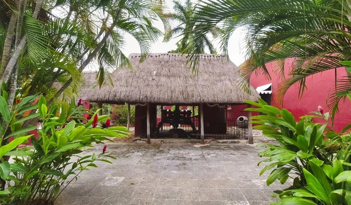 Palapa sobre la noria