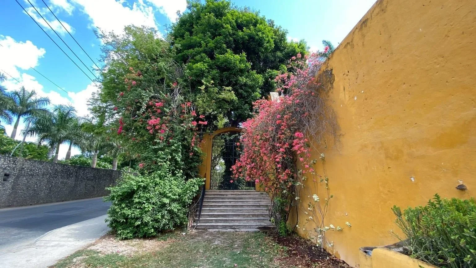 Escalinata de piedra con bugambilias