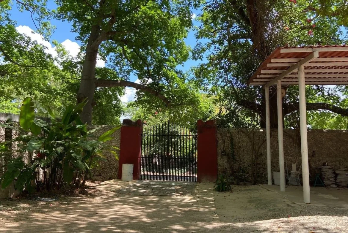 Patio con portón eléctrico