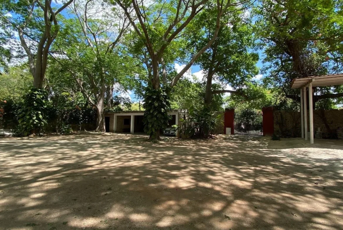 Área arbolada